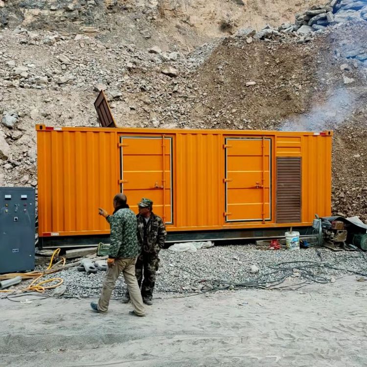 信丰如何选择适合自己的 800KW 柴油发电机组？